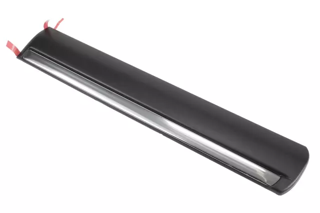 Driver Side Rear Door Molding