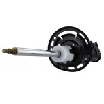 Motorcraft™ Suspension Strut