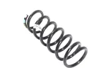 Front Coil Spring, Left
