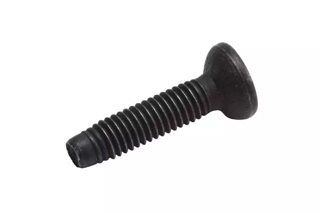 Protector Screw