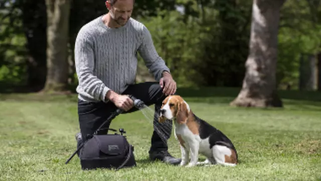 Portable Rinse System