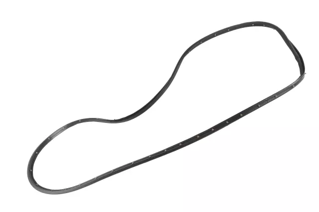 Front Passenger Side Door Weatherstrip