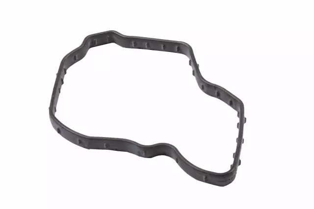 Engine Coolant Thermostat Housing Seal