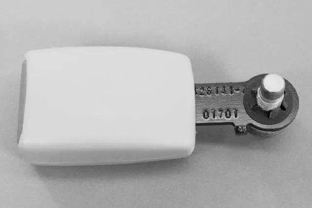 Rear Inner Seat Belt, Left