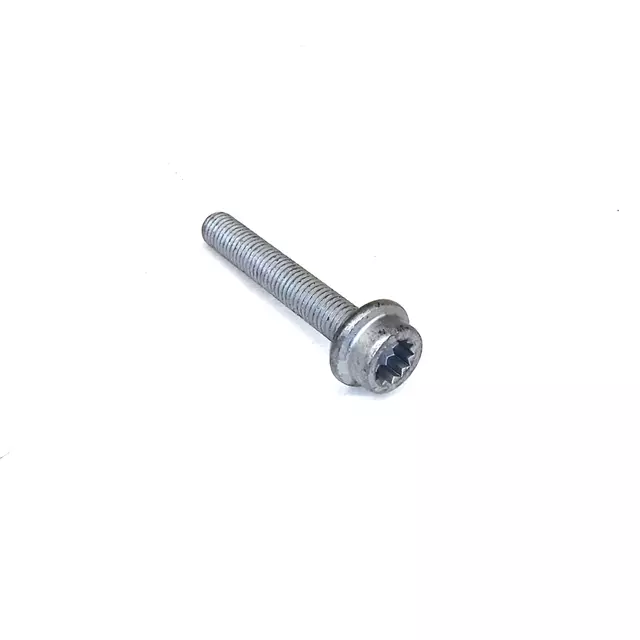Side Support Mount Bolt