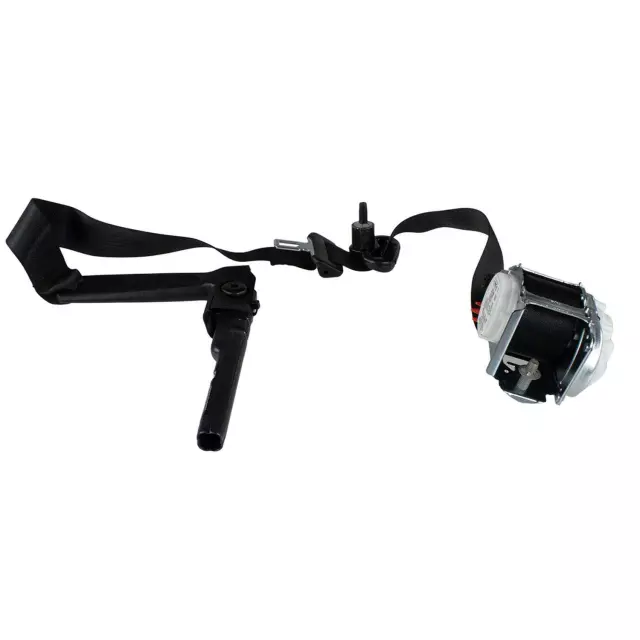 Seat Belt Lap And Shoulder Belt