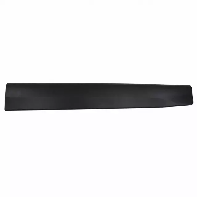 2018-2022 Ford EcoSport Side Molding CN1Z-9920878-DA | OEM