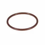 Fuel Pump Gasket