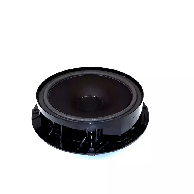 Rear Dr Speaker