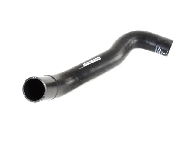Radiator Outlet Hose