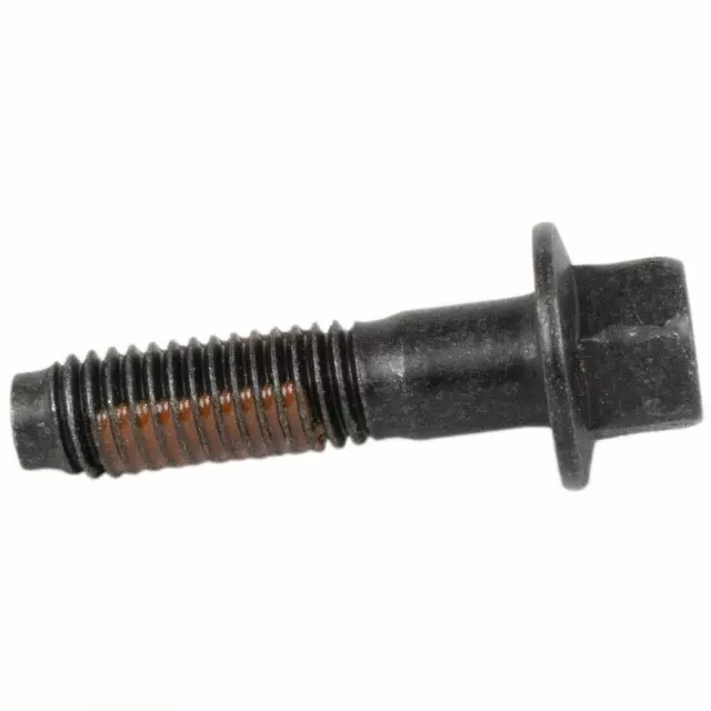 Column Assembly Lower Bolt