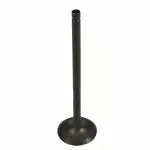 Exhaust Valve