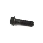 Hex Flange Head Bolt, Hub To Knuckle Mounting