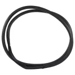 Weather-Strip On Body