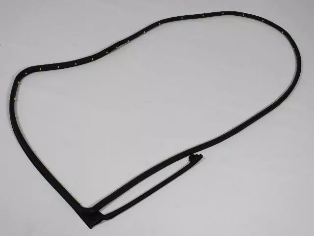 Rear Door Mounted Weatherstrip, Right