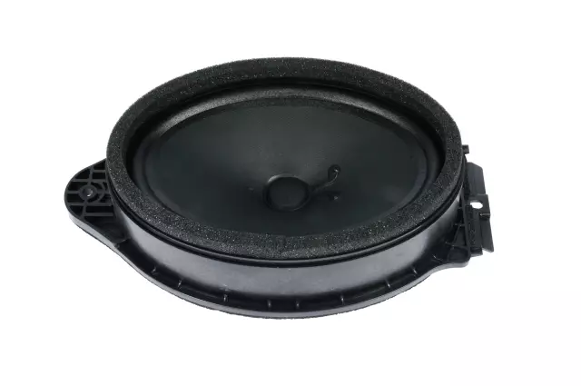 2014-2020 GM - Front Door Radio Speaker