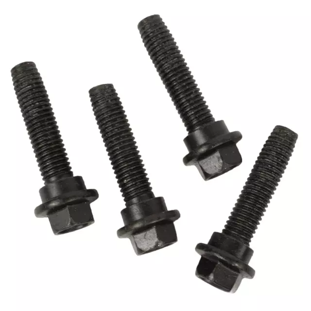 Outer Belt Assembly Screw
