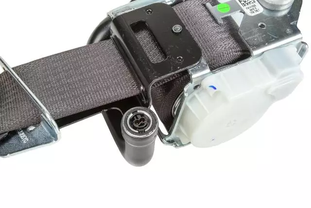 Cocoa Driver Seat Retractor Side Belt