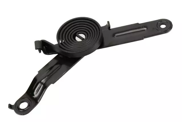 Spring,Hood Open Asst