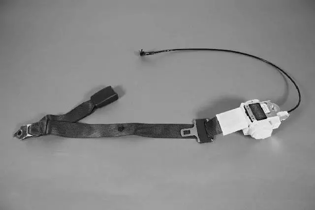 Center Belt Assembly