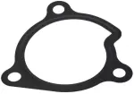 Water Pump Gasket