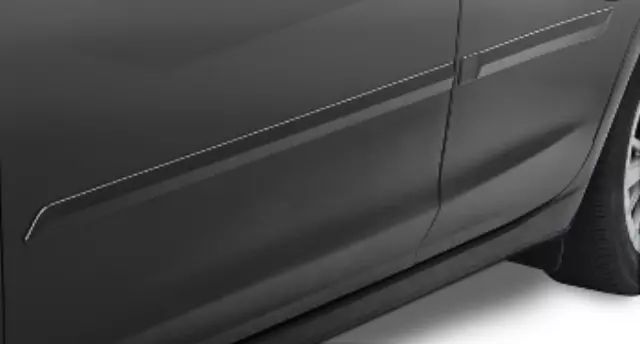 Body Side Molding - Carbide Gray Metallic