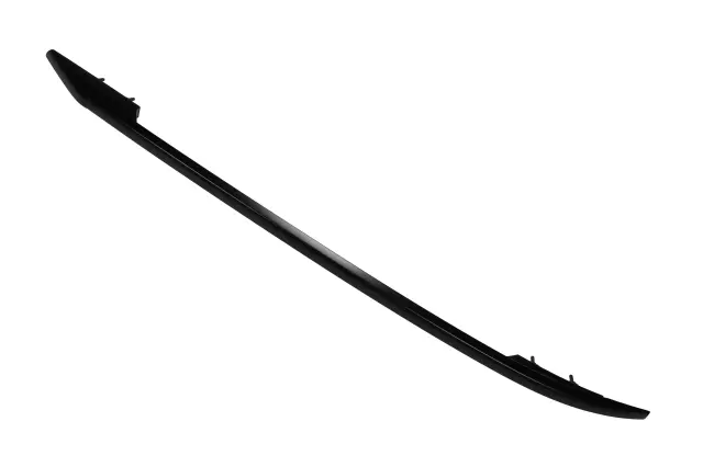 Black Driver Side Roof Luggage Carrier Rail