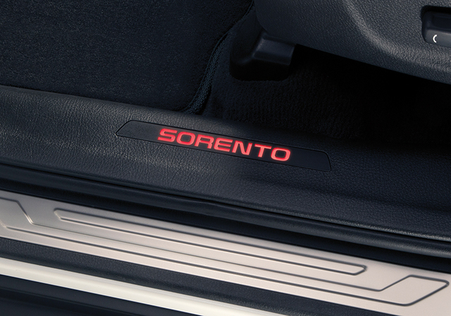 Door Sill Plates - Illuminated