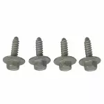 Instrument Panel Screw