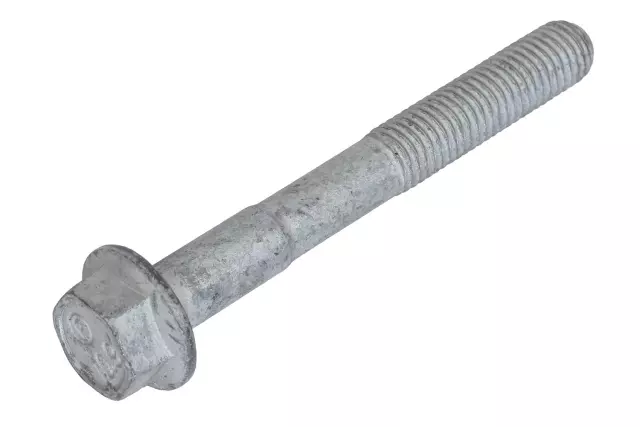 Multi-Purpose Bolt