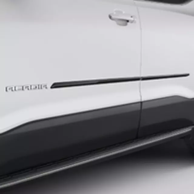 Exterior Trim, Bodyside Molding