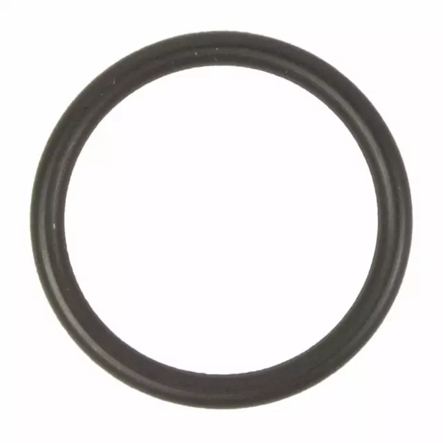 Oil Filler Tube Seal