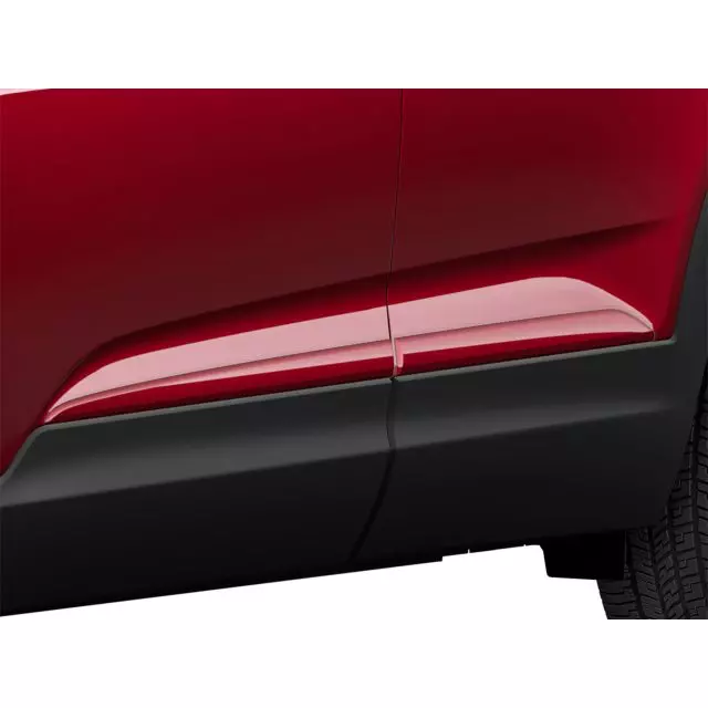 GM Exterior Trim Door Molding 42693700