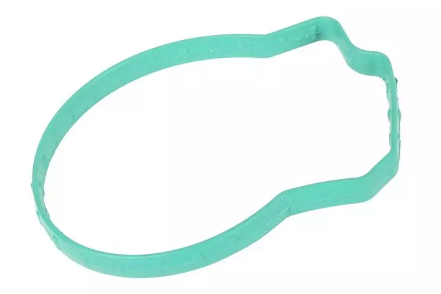 Fuel Injection Throttle Body Seal