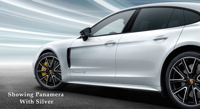 Model Designation On Doors - Silver