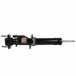 Motorcraft™ Shock Absorber