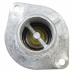 Motorcraft™ Engine Coolant Thermostat Kit