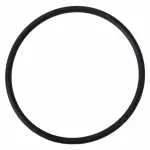 Motorcraft™ Engine Coolant Thermostat Gasket