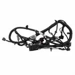 Engine Harness