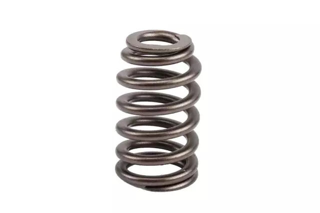 Valve Springs