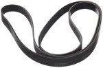 Serpentine Belt