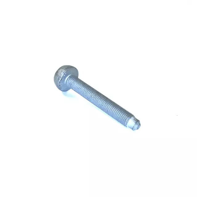 Strut Bolt