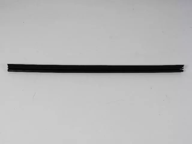 Front Door Belt Inner Weatherstrip, Right