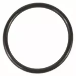 Thermostat O-Ring