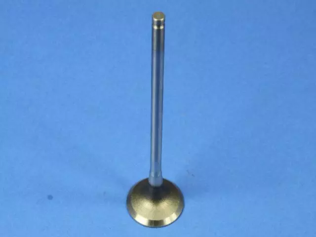 Engine Exhaust Valve