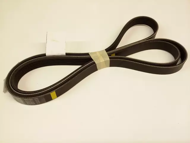 Serpentine Belt