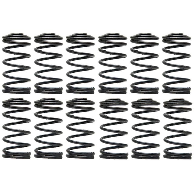 Rear Drum Brake Shoe Hold Down Spring 19307979