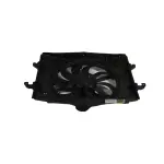 Radiator Cooling Fan Module
