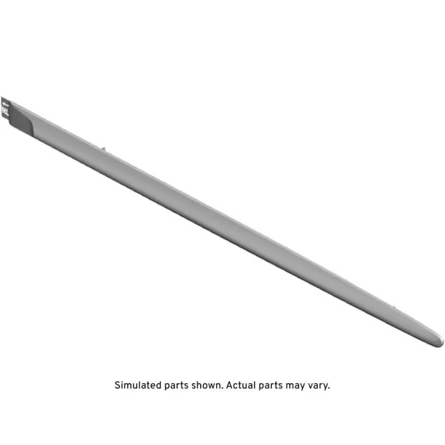 Driver Side Rear Door Molding