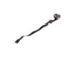 Rear Outer Seat Belt, Right